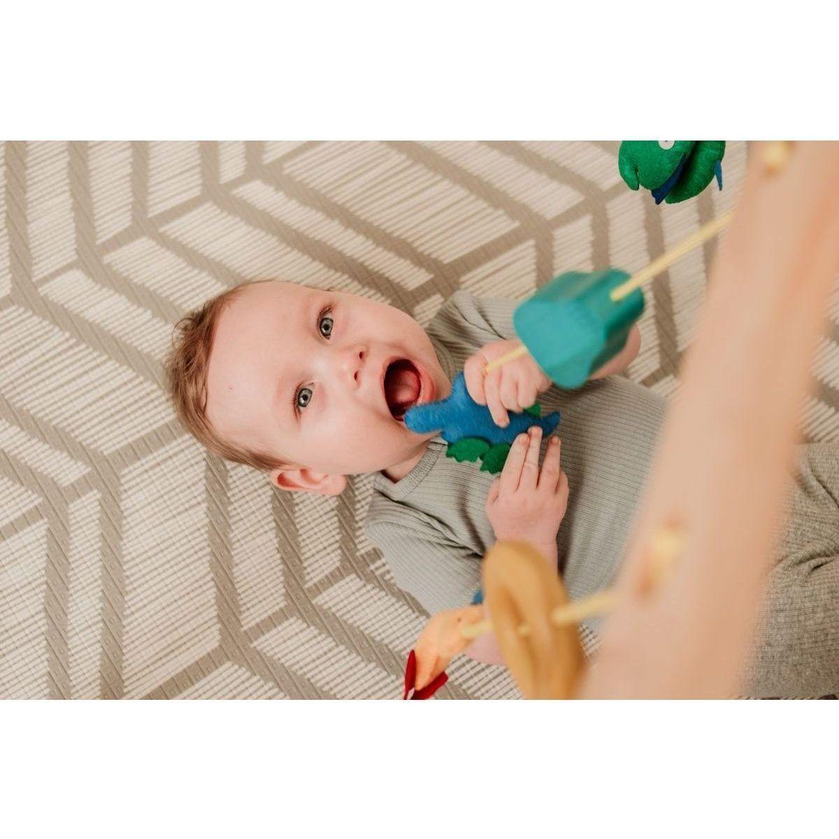 QToys Wooden Baby Gym Toy